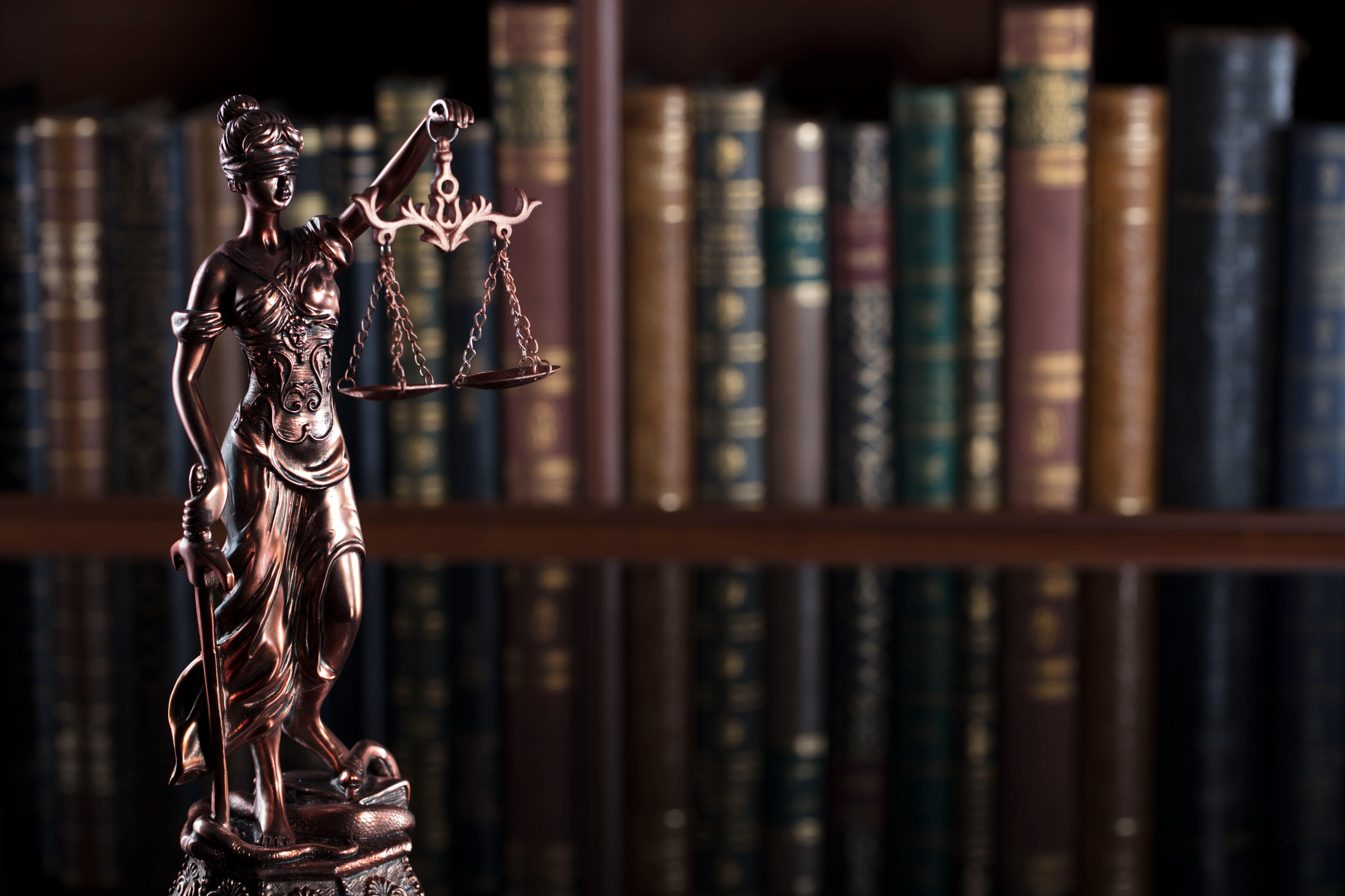 Law theme court library